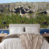 Wallpaper - Remote Mona Island - Coconut Palms and Caves from the Boat - Puerto Rico - Easy Peel & Stick - Green Forest Home