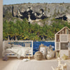 Wallpaper - Remote Mona Island - Coconut Palms and Caves from the Boat - Puerto Rico - Easy Peel & Stick - Green Forest Home