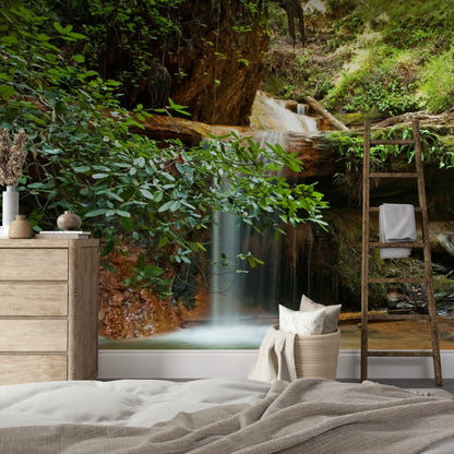 Wallpaper - Silver Falls on Berry Creek Trail, in the Coastal Redwood Forest in Big Basin State Park, CA USA - Easy Peel & Stick - Green Forest Home