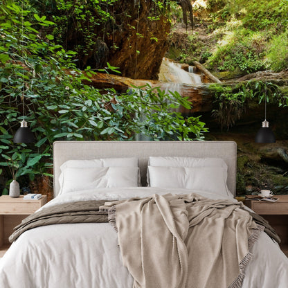Wallpaper - Silver Falls on Berry Creek Trail, in the Coastal Redwood Forest in Big Basin State Park, CA USA - Easy Peel & Stick - Green Forest Home