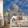 Wallpaper - Taj Mahal at morning light in Agra - India - Easy Peel & Stick - Green Forest Home