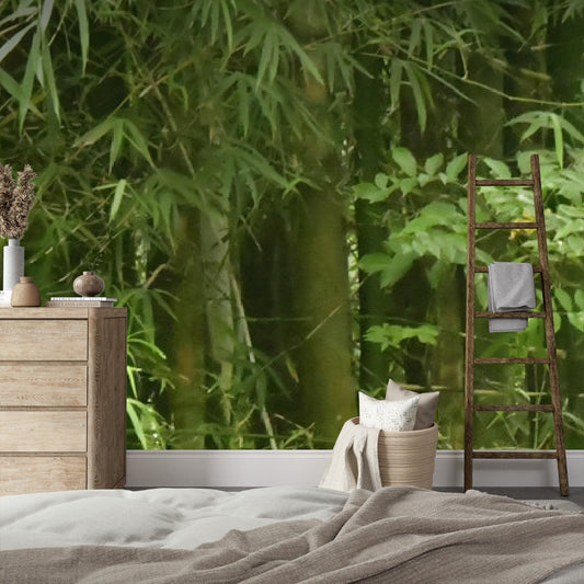 Wallpaper - Tropical Bamboo El Yunque Rainforest Puerto Rico - Multiple Sizes - Easy Peel & Stick - Green Forest Home