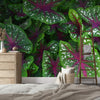Wallpaper - Tropical Plants in Isabela Puerto Rico - painting effect - Green Forest Home