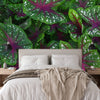 Wallpaper - Tropical Plants in Isabela Puerto Rico - painting effect - Green Forest Home