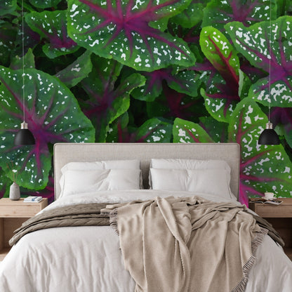 Wallpaper - Tropical Plants in Isabela Puerto Rico - painting effect - Green Forest Home