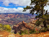 Wallpaper - US National Parks, Grand Canyon National Park - Easy Peel & Stick - Green Forest Home