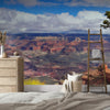 Wallpaper - US National Parks, Grand Canyon National Park - Easy Peel & Stick - Green Forest Home