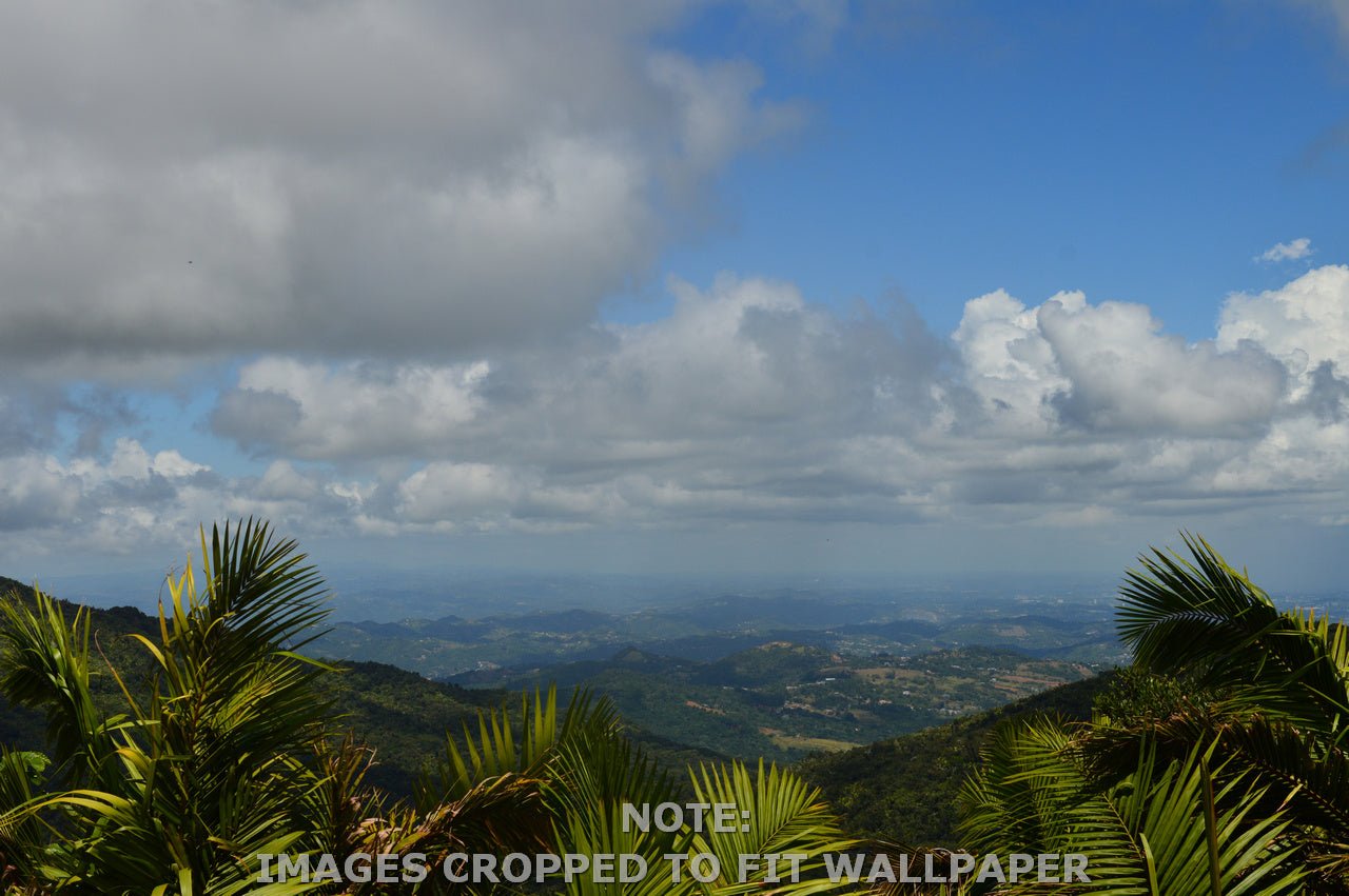 Wallpaper - View from the Peak - El Yunque Rainforest - Multiple Sizes - PUERTO RICO - EASY Peel and Stick - Green Forest Home