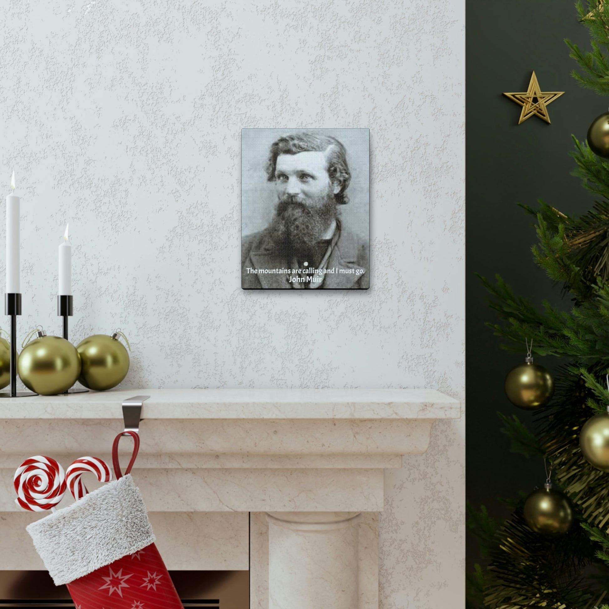 World Leaders - SMALL Canvas Gallery Wraps - Made in USA - John Muir - Father of the US National Parks & Sierra Club - Naturalist & author - lover of Yosemite & mountains - Green Forest Home